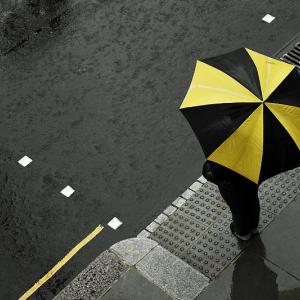 Yellow Yellow