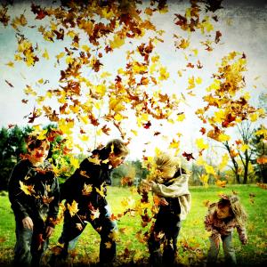 Fall Fun Fall Fun