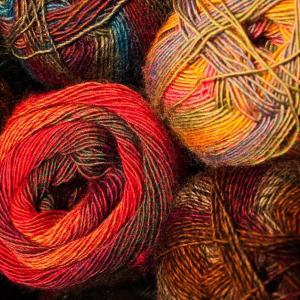 Winter Wool Winter Wool