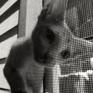 Let me in... Let me in...