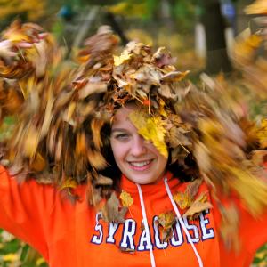 Falling Leaves Falling Leaves