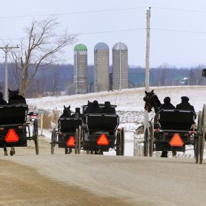Wagons Wagons