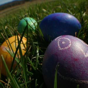 Easter Egg Hunt Easter Egg Hunt