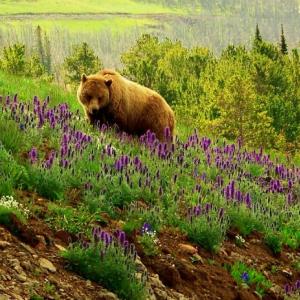 Smelling the flowers Smelling the flowers