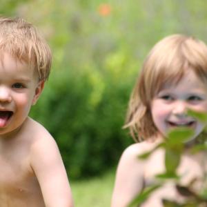 Garden Fun Garden Fun