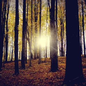 October October
