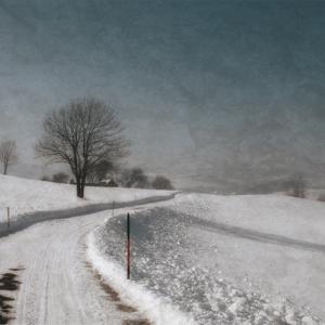 Winter Landscape Winter Landscape