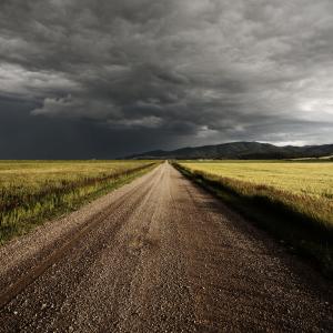Road in the Wheat Road in the Wheat