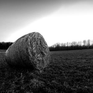 The End of a Farmers Day The End of a Farmers Day