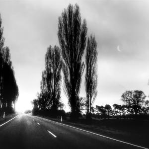 Never-Ending Road Never-Ending Road