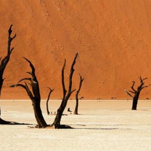 Death Vlei in Namibia Death Vlei in Namibia
