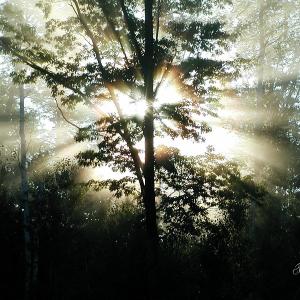 Misty Sunrise Misty Sunrise