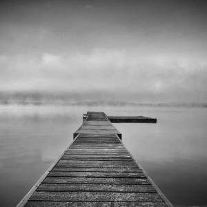The Lake The Lake