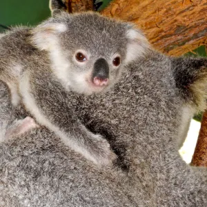 Holding on Tight Holding on Tight