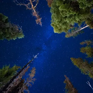 Don't Forget To Look Up Don't Forget To Look Up