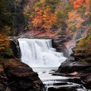 Fall at Letchworth Fall at Letchworth