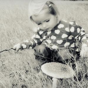 Enjoy the mushrooms Enjoy the mushrooms