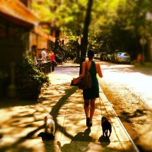 Summer Stroll Summer Stroll