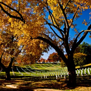 Arlington Cemetery, Veter Arlington Cemetery, Veter