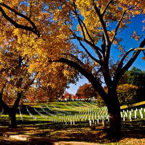 Arlington Cemetery, Veter Arlington Cemetery, Veter