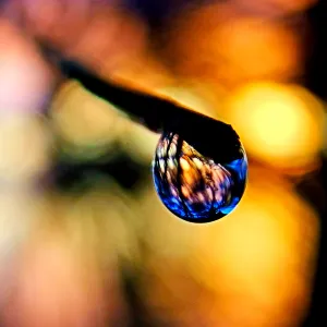 Sunset Drop Sunset Drop