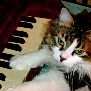 "Play it again, Sam:" "Play it again, Sam:"