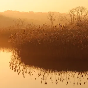 Sunrise Alley Creak Sunrise Alley Creak