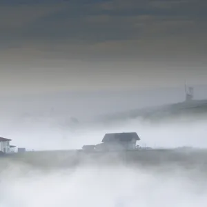 Fog Fog