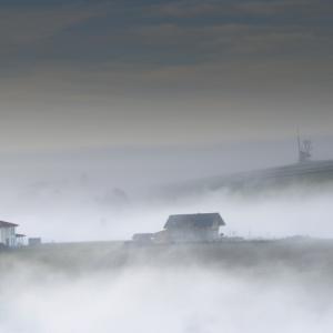 Fog Fog