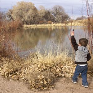 Skipping Rocks Skipping Rocks