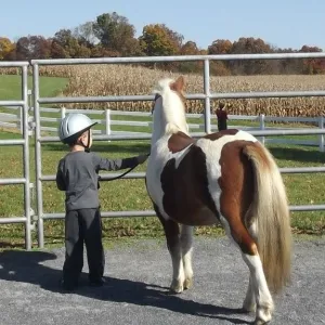 Zach and Flash Zach and Flash