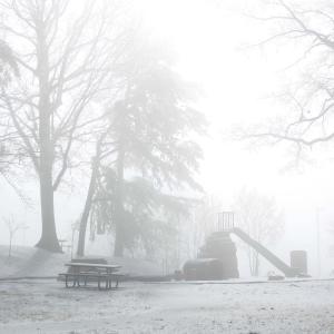 First snow First snow