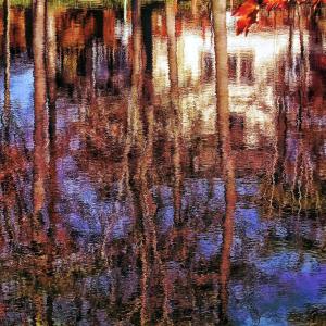 Reflection Of Fall Reflection Of Fall