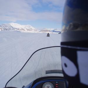 View from a snowmobile View from a snowmobile