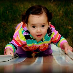 Gracie Gracie