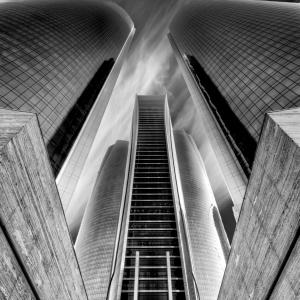 Standing Tall...Etihad Standing Tall...Etihad