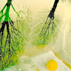 Reflection of Breakfast Reflection of Breakfast
