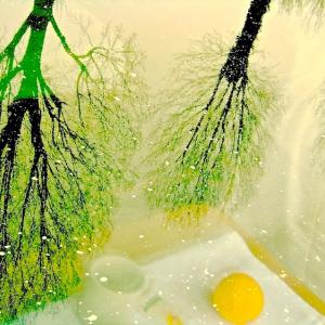 Reflection of Breakfast Reflection of Breakfast