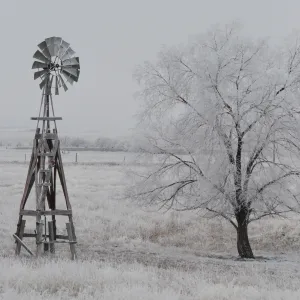 Winter Windill Winter Windill