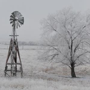 Winter Windill Winter Windill