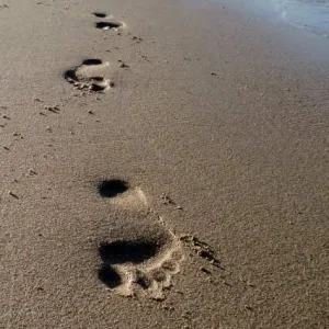 Footsteps Footsteps