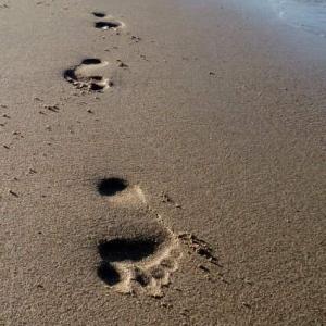 Footsteps Footsteps