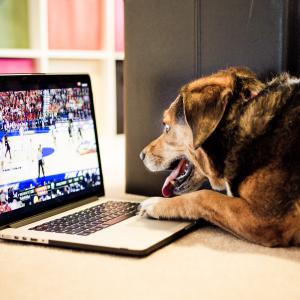 March Madness March Madness