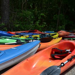 kayaks kayaks