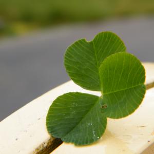 Luck Luck
