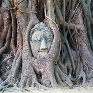 ayutthaya buddha ayutthaya buddha