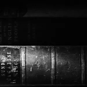 Perfect Spine Perfect Spine