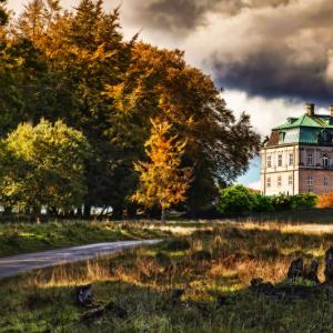 The Castle in the Forest The Castle in the Forest