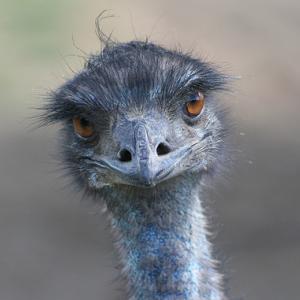 What Are You Lookin' At? What Are You Lookin' At?