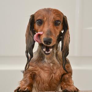 Yap, I am clean! Yap, I am clean!